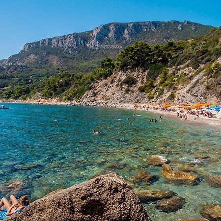 B&B Il Gabbiano Orbetello Zewnętrze zdjęcie
